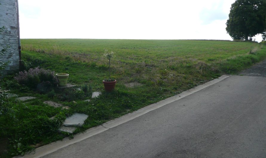 Projet de salle – Terrain – 04/08/2008