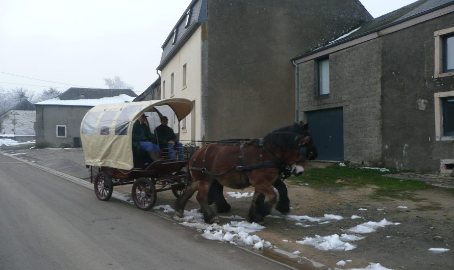 Visite de Saint Nicolas – 29/11/2008