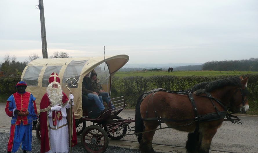 Visite de Saint Nicolas – 24/11/2012