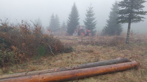 14764469-21f2-46bc-85aa-d9e15da9ce0f