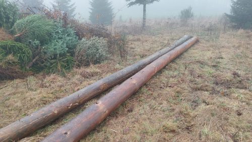 3ad0cd1b-7665-4d44-84e0-ee1eb0e7fa27