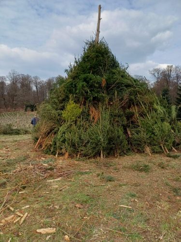 3ad9f69a-6b17-4661-bbaa-ce37235e4a6c