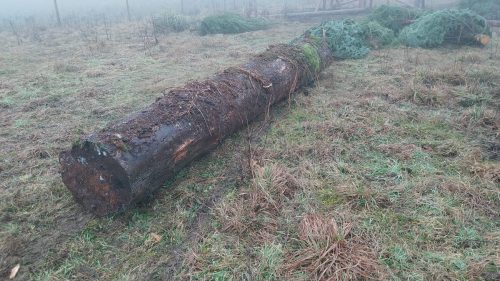 4bdefacd-6f6c-43a8-afbc-5b322c5f24b8