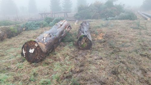 5e0f44fb-45af-45a4-ac07-af0e4dfdbe2f