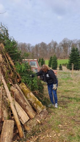 7f6d550f-a6f2-4ea7-9f91-103741aa7c86