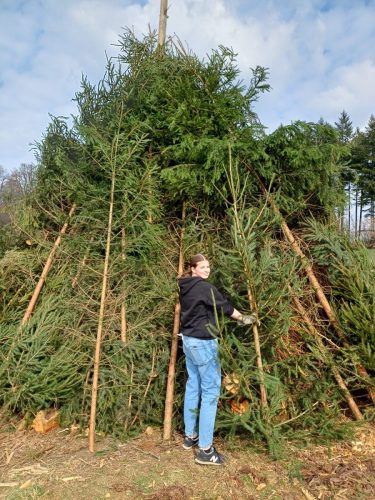 9c91d195-d248-4b55-a6f6-9528d8b4dfb8