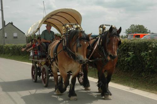 FeteParc2007_8juillet_224_animations_chevaux