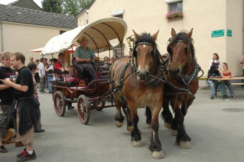 FeteParc2007_8juillet_225_animations_chevaux