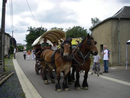 FeteParc2007_8juillet_231a_animations_chevaux