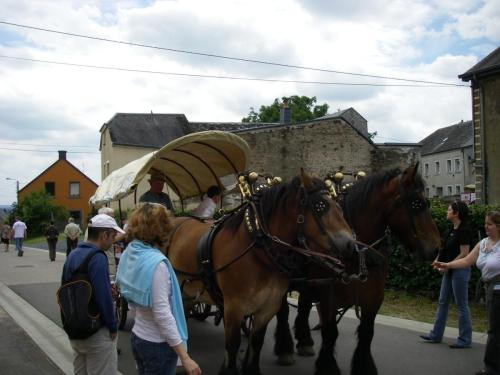 FeteParc2007_8juillet_231c_animations_chevaux