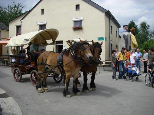 FeteParc2007_8juillet_231h_animations_chevaux