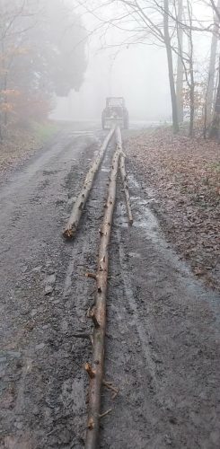 b63fb77e-a8c7-4a3f-a918-1b0d6ecefa7a